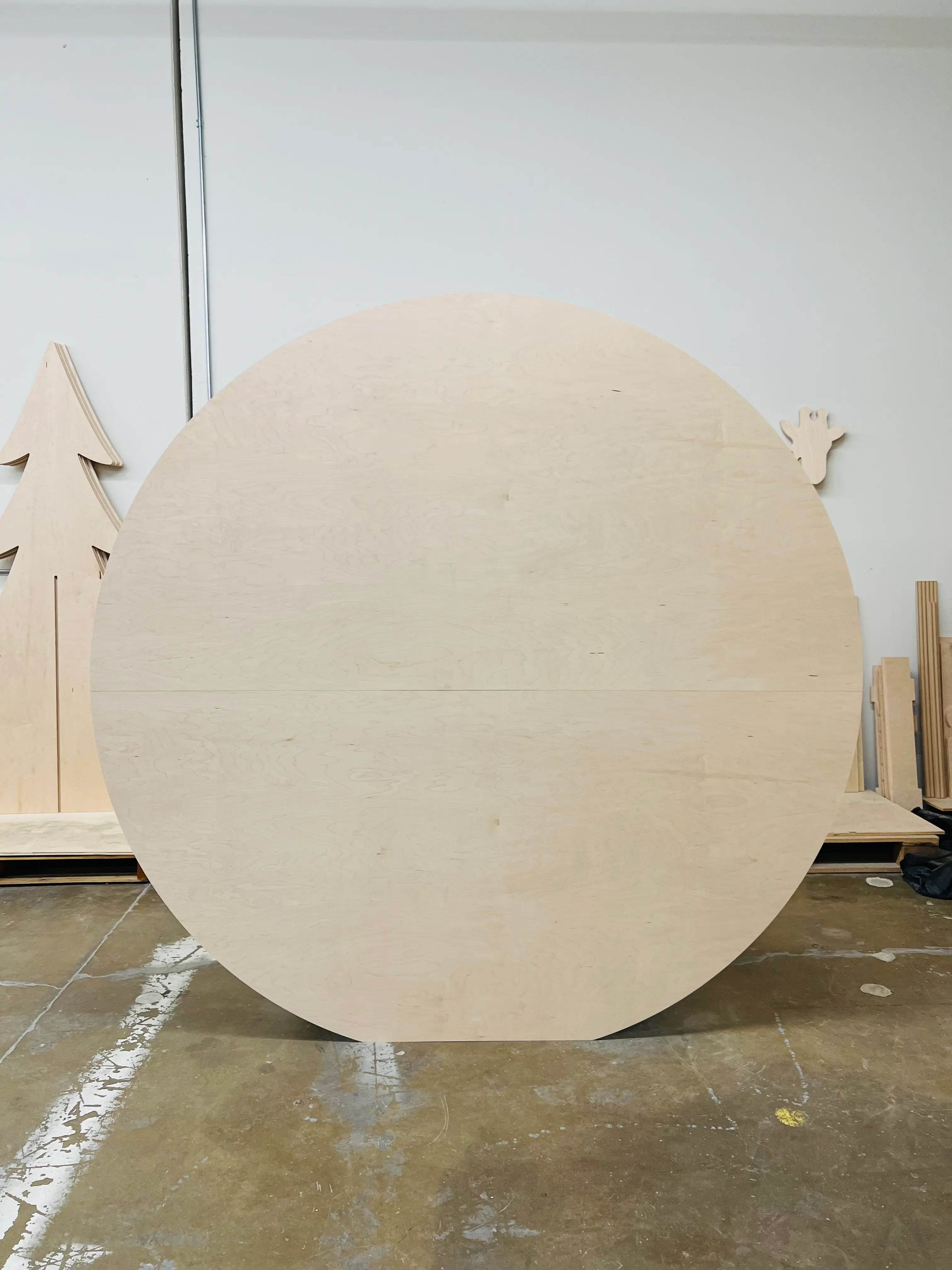 The Luna Circle Backdrop